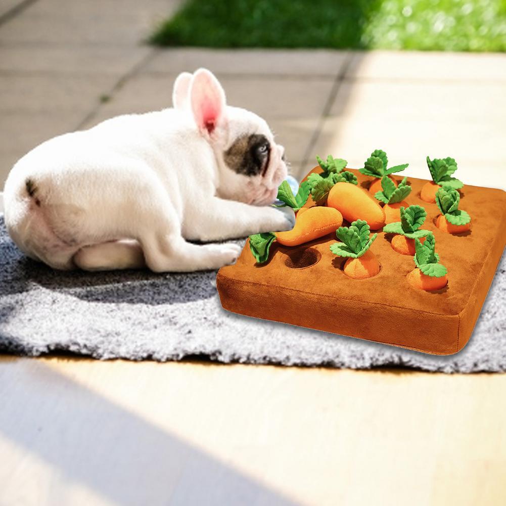 Interactive Carrot Snuffle Mat